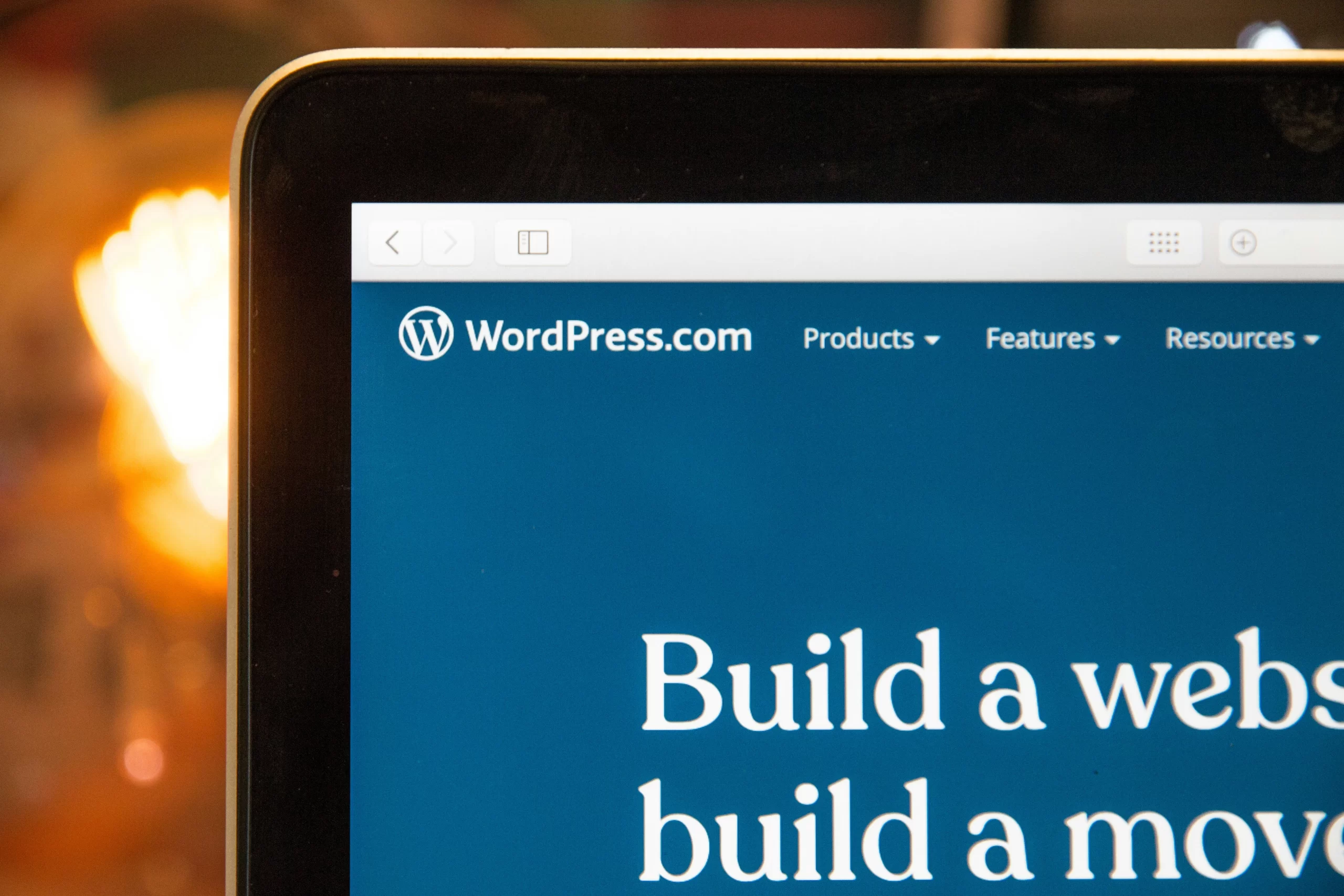 Why You Should Use WordPress for Web Development in 2024